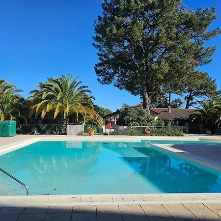 Apartamento T2 4 Pers Avec Piscine Idéal *